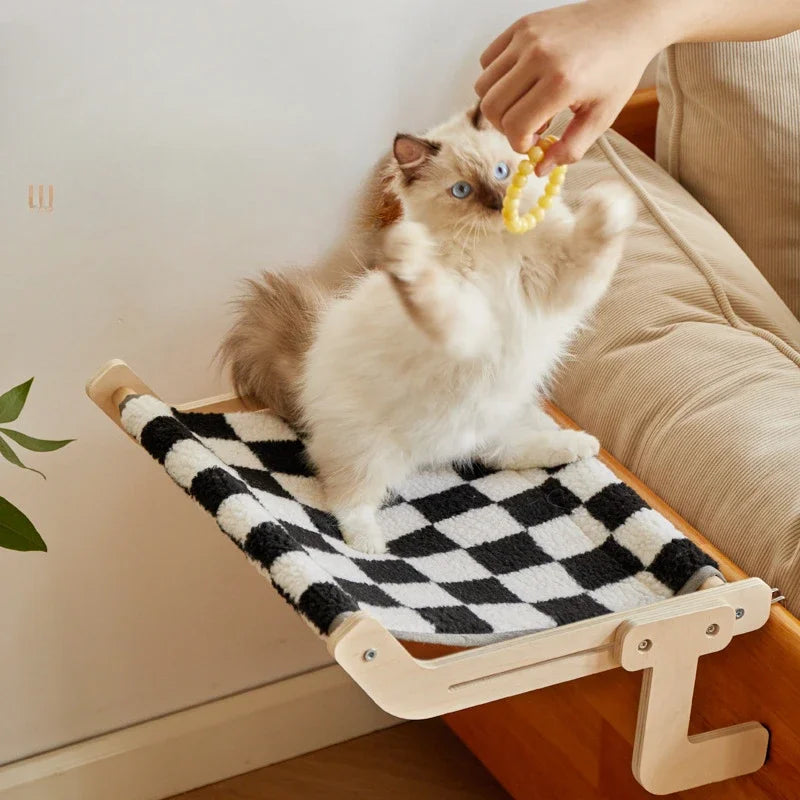Hammock