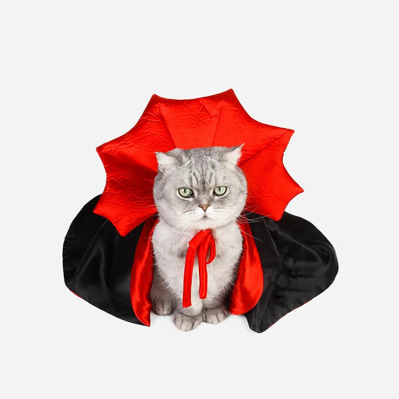 Cat Vampire Costume