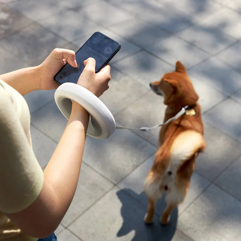 Dog Rope Leash With Flashlight