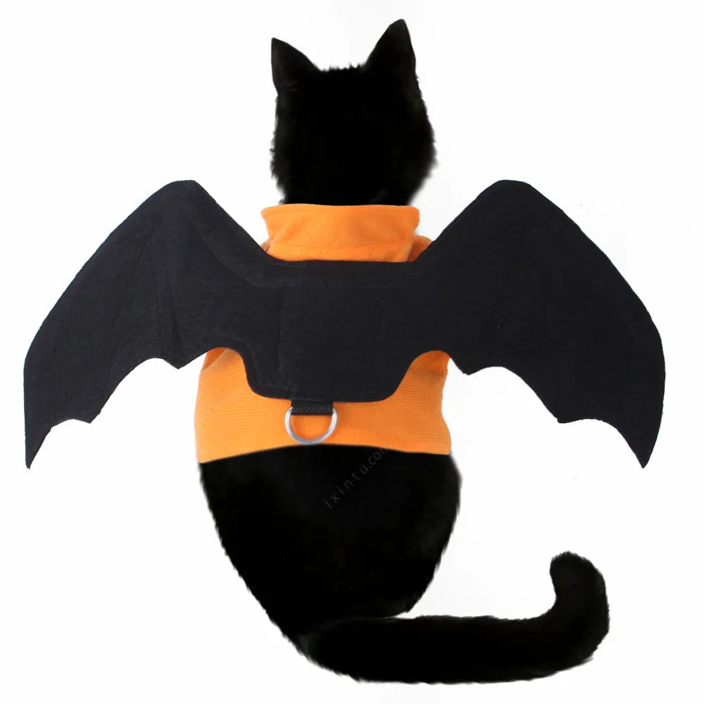 Cat Vampire Costume