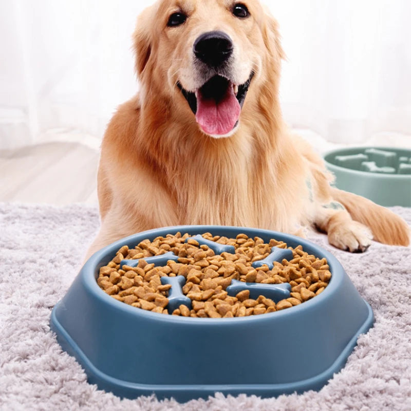 Home Dog Eating Plate