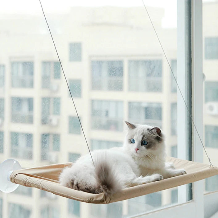 Hanging Cat Hammock