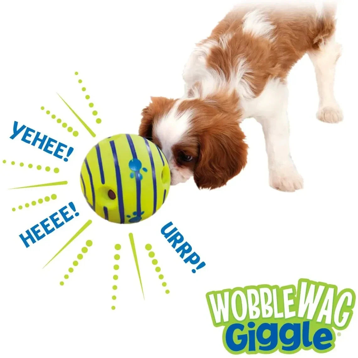 Glow Ball Interactive Dog Toy